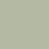TotalBoat Aluminum Boat Topside Paint Swatch Army Green
